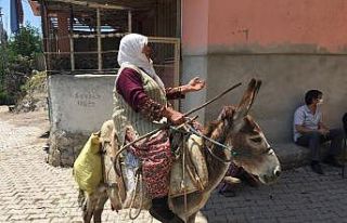 Köylü kadından aşı ekiplerine eşek sırtında...