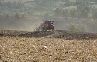 Kozan’da aynı bölge ikinci orman yangını