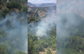 Kozan’da çıkan orman yangını kontrol altına...