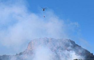 Kozan’da orman yangını devam ediyor, havadan müdahale...