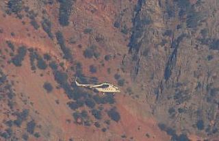 Kozan’daki orman yangınına havadan müdahale başladı