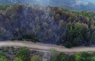 Kozan’daki yangın kontrol altına alındı