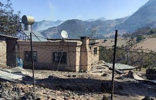 Kozan’daki yangında inekler telef oldu