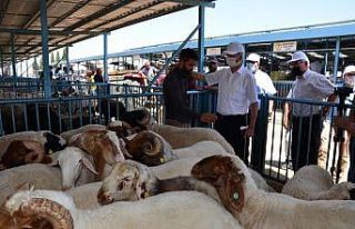 Kurban Bayramı öncesi tüm tedbirler gözden geçirildi