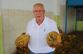 Kurban Bayramı öncesinde sebze ve meyveye zam yok