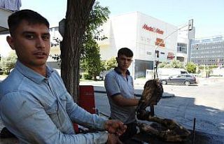 Kurban Bayramı’nda kelle ütücülerinin yoğun...