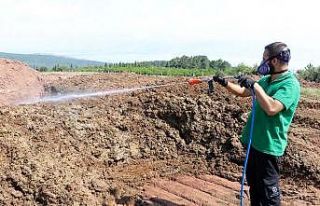 Kurban pazar yerleri ilaçlanıyor