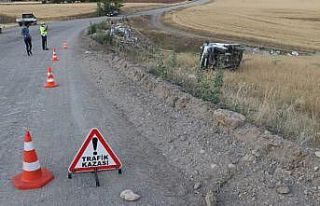 Kurban pazarından dönerken tarlaya uçtular: 3 yaralı