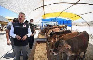 Kurban pazarlarında denetimler başladı