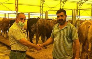 Kurban pazarlarında satışlar başladı