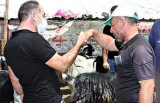 Kurban pazarlığında tokalaşma yapılmayacak