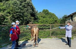 Kurban yakalama timi göreve hazır