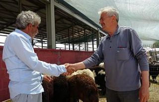 Kurbanlar için ’kol koparan’ pazarlıklar