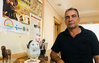 Kurbanlık alacaklara uyarı