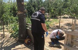Kuru ağacı taşlama makinesiyle budarken boğazını...