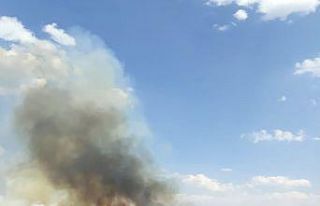 Kuş cennetinde korkutan yangın