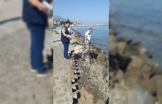 Kuşadası Belediyesi, tatilciler için ilave tedbirler...