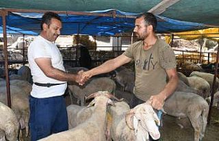Kuşadası Kurban Bayramı’na hazır