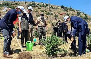 Kütahya’da fidan dikimi