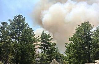 Kütahya’da orman yangını çıktı