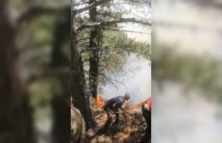 Kütahya’daki orman yangını kontrol altına alındı