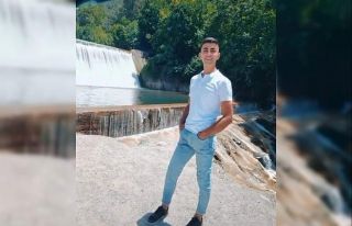 Kuzenlerin "dut ağacı sınırı geçti"...