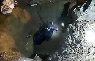 Lağım çukuruna düşen tosun, kepçe yardımıyla...