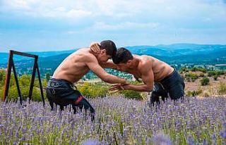 Lavanta bahçesinde peşrev