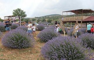 Lavanta kokulu köyü 330 bin kişi ziyaret etti