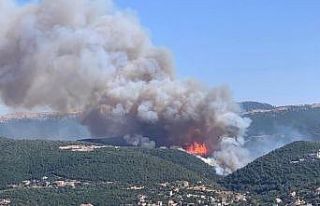 Lübnan’da korkutan orman yangını
