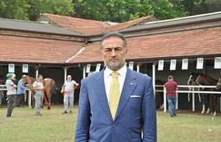 Lüks daire fiyatına tay