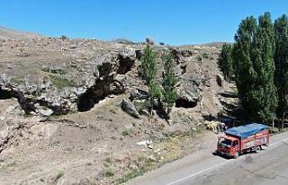 Mağarada organik yetiştiler, kurban olmak için...