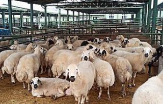 Malatya’da bayram öncesinde yoğun önlemler