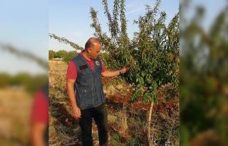 Malatya’da piknik yapanlara yangın uyarısı