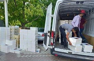 Malatya’dan il dışına koli koli hediyelik kayısı