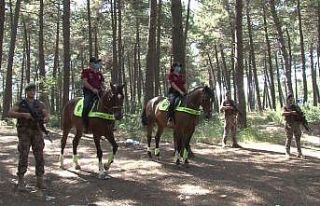 Maltepe’de orman yangınlarına karşı helikopter...