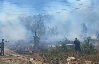 Manavgat’ta çıkan yangında 5 dönüm ormanlık...
