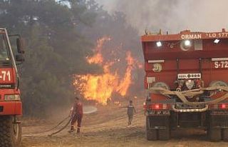 Manavgat’ta orman yangını devam ediyor, metrelerce...