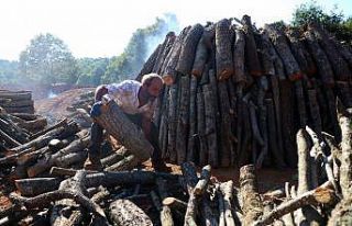 Mangal kömürünün zorlu yolculuğu