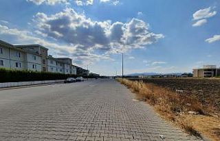Manisa’da sineksiz bir yaz için yoğun mesai