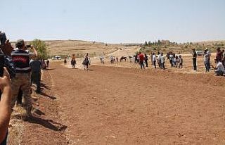 Mardin’de rahvan atı yarışı düzenlendi