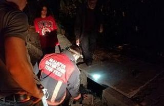 Menfeze düşen kediyi itfaiye kurtardı