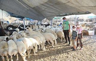 Meram Belediyesi Kurban Bayramı’na hazır