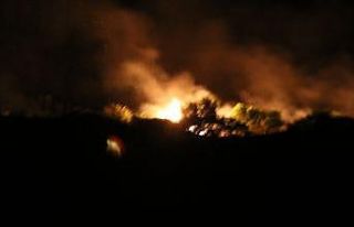 Meriç Nehri’ndeki adada çıkan yangında ağaçlar...