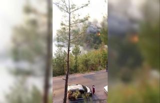 Mersin’de bir orman yangını daha çıktı