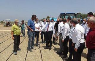 Mersin’de damla sulamayla çeltik üretiliyor