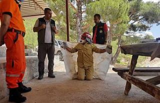 Mersin’de orman personeline iş güvenliği eğitimi...