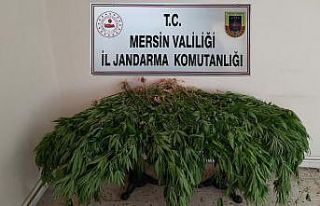 Mersin’de uyuşturucu operasyonu