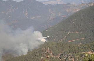 Mersin’deki orman yangını devam ediyor