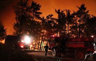 Mersin’deki orman yangını kontrol altına alınmaya...